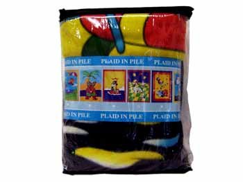 Wholesale Assorted Twin Size Kids Blankets