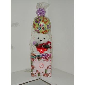 Wholesale Baby Bear in a Bag