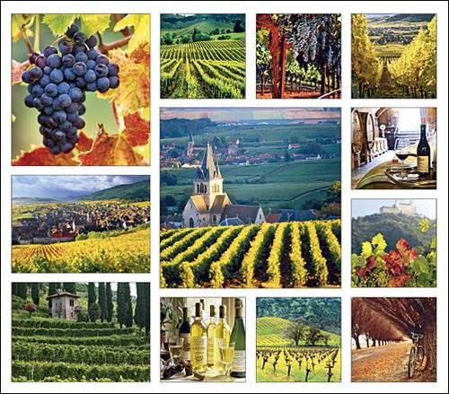 Vineyards Calendar with Bonus