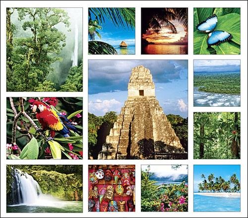 Tropical Equatoria Calendar with Bonus