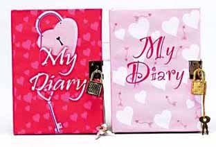 3 Assorted Diary Top Secret