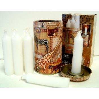 Wholesale Animal Tin with Candles