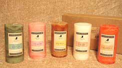 Wholesale Fruit Scented Candle