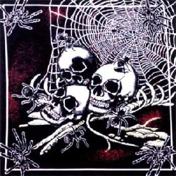 Wholesale Skull Island - Dozen Packed 22x22