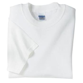 NEW! Wholesale Basic
