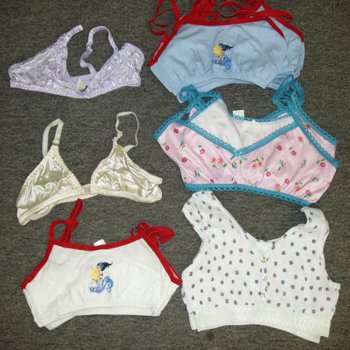 Wholesale Teen Bras and Bralettes
