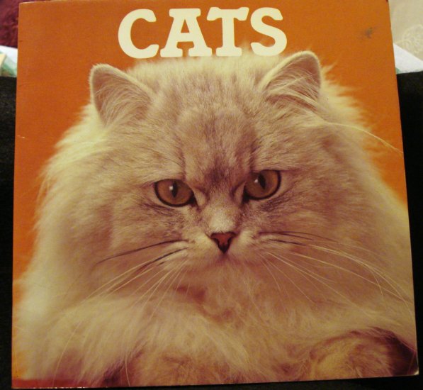 Cats picture book Colour Library Books soft cover books cm1245