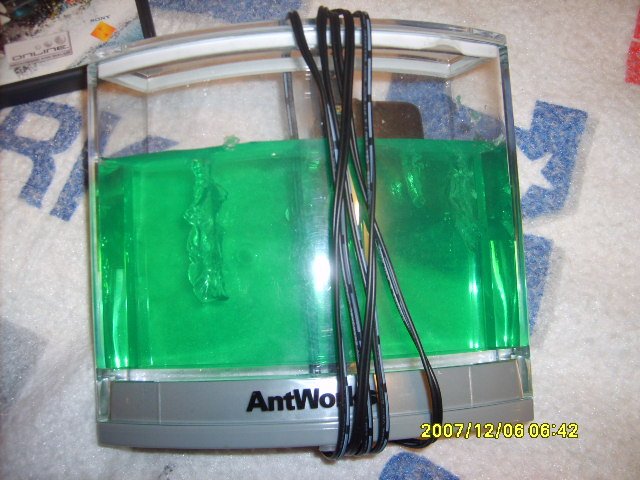 Ant Works Illumination