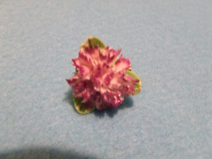 Pin English Porcelain Floral $5.95 shipping included