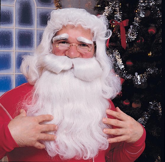 2303 Santa Wig and Whisker set
