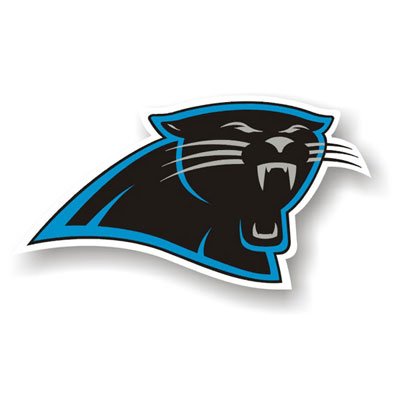 Carolina Panthers 12" Car Magnet