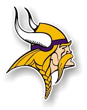 Minnesota Vikings 12" Car Magnet