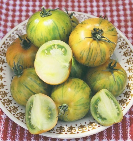 TOMATO - GREEN ZEBRA. 35 Seeds. # G152-35.