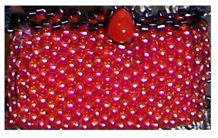Tomato Red beaded purse - Fashion Doll Accessories