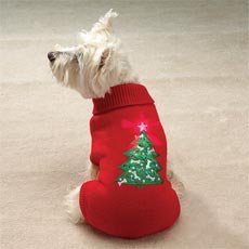 Twinkling Star Holiday Sweaters