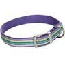 Pretty Paisley Purple Haze Collars