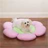 Pet Flower Bed