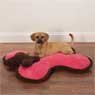 Dog Bone Beds