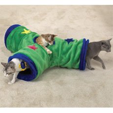 Fishy Fun Tunnel