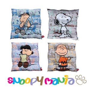 Snoopy Satin Pillows