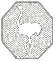 Embossed Ostrich Design