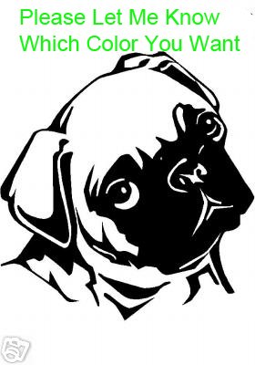 Pug - custom vinyl graphic 5x5 inch