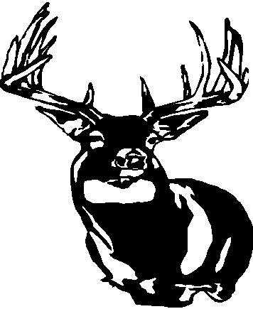 Whitetail Deer 1 - custom vinyl graphics 6x5 inch