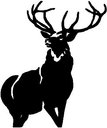 Whitetail Deer 2 - custom vinyl graphic 6x5 inch