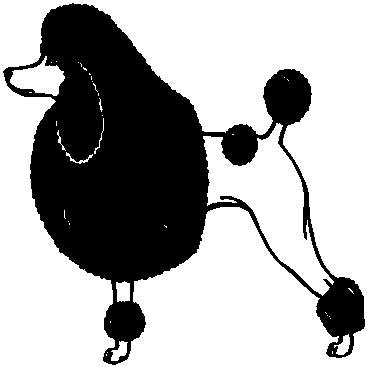 Poodle - custom vinyl graphics 5x5 inch