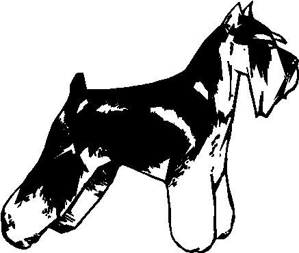 Schnauzer - custom vinyl graphic 6x5 inch