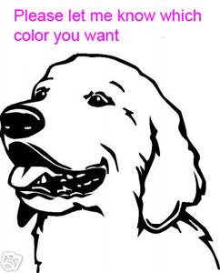 Golden Retriever - custom vinyl graphic 5x5