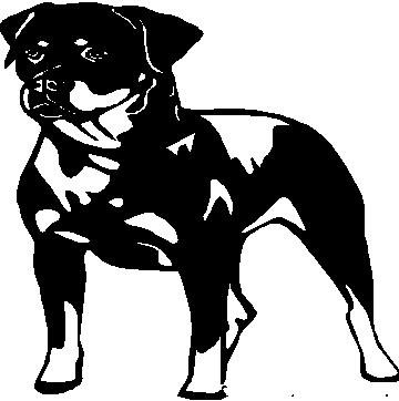 Rottweiler 2 - custom vinyl graphics 5x5 inch