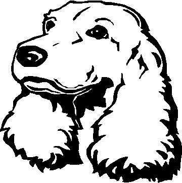 Cocker Spaniel - custom vinyl graphic - 5x5 inch