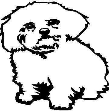 Maltese - custom vinyl graphic - 5x5 inch