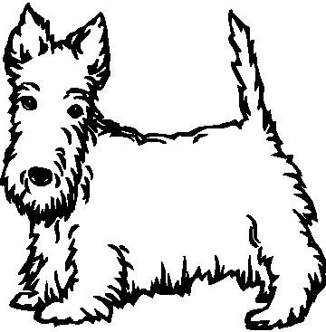 Scottish Terrier - custom vinyl graphics - 5x5 inch