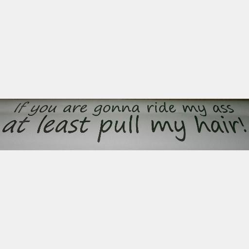 4x12 ride my a-- pull my hair custom vinyl graphics