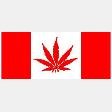 Custom vinyl graphics Canadian potleaf flag