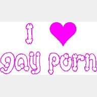 Custom Vinyl Graphics I Love Gay Porn - revenge funny