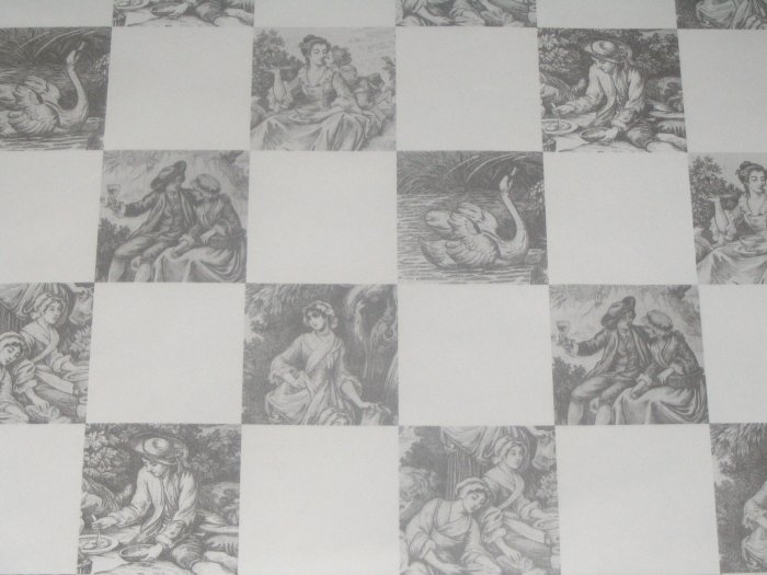 Checkered Toile