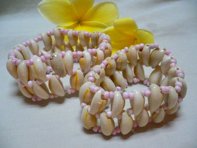 BRA-010