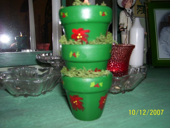 pointsetta,Christmas