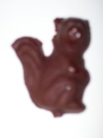 12 Squirrel Lollipop