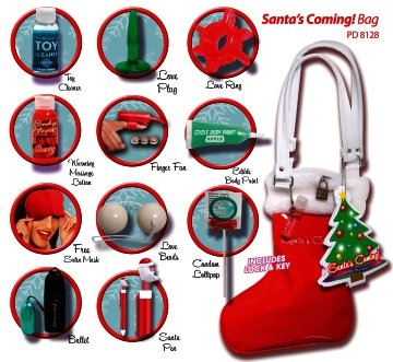 Santa's Coming Bag