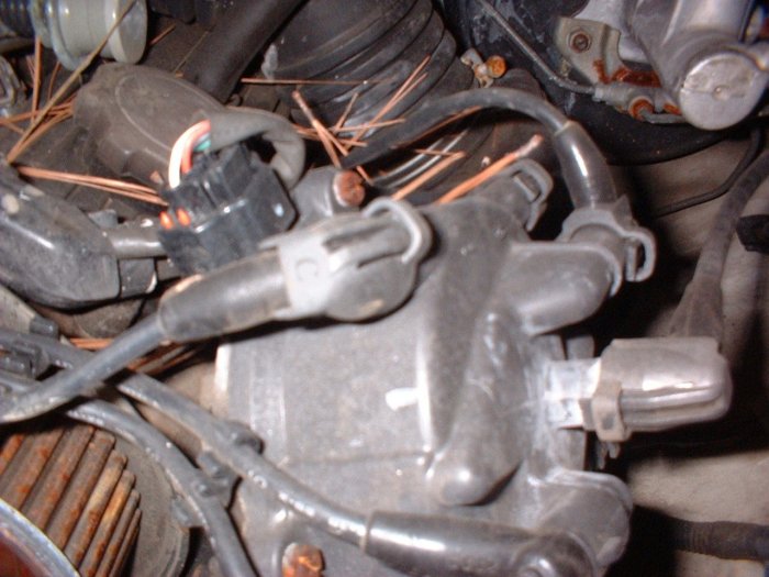 V6 DISTRIBUTOR