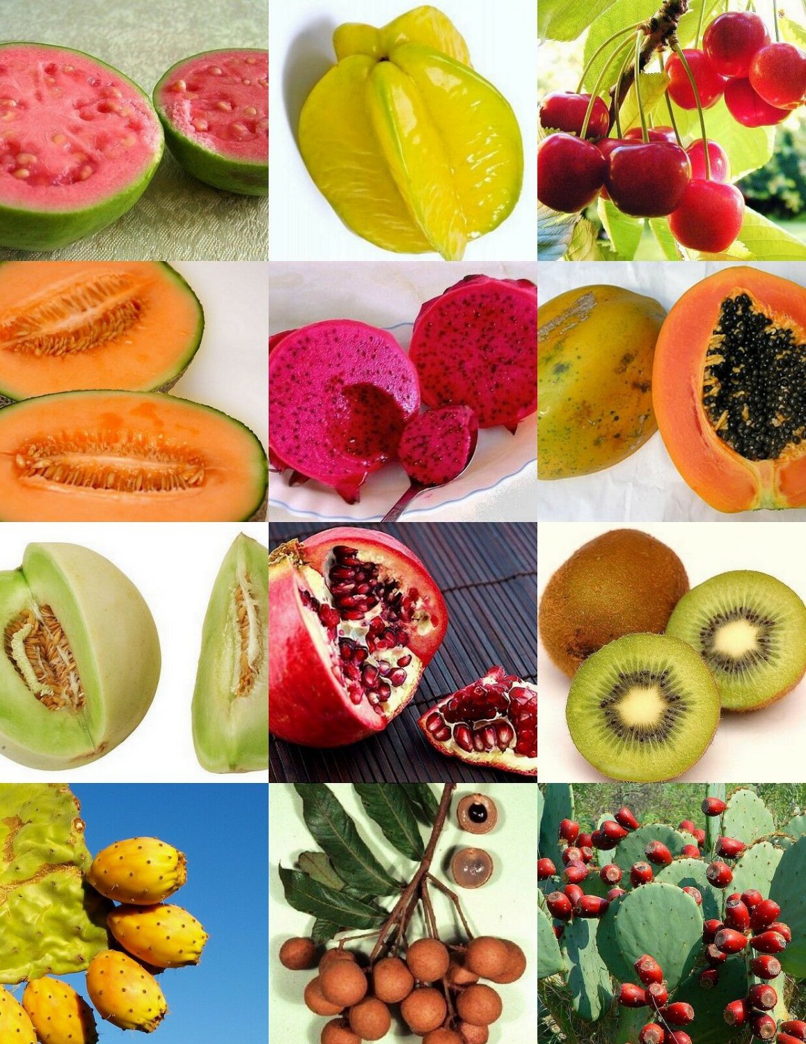 Семена экзотических фруктов