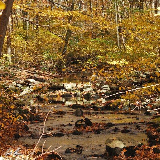 Autumn Streams