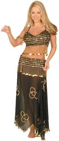 2 Piece Sheer Belly Dancer Outfit with Sequin Design and Hanging Coin Accents