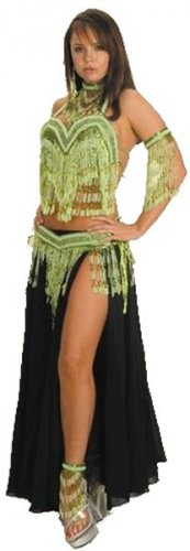 6 Piece Belly Dancer Costume with Beaded Fringe