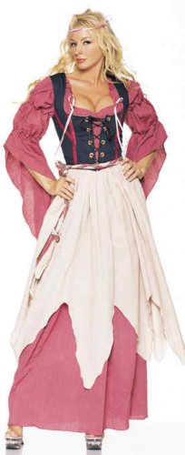 Pirate Wench/Barmaid Costume