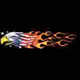 Eagle With Flames t-shirt